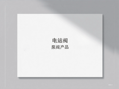 电站阀样册封面图