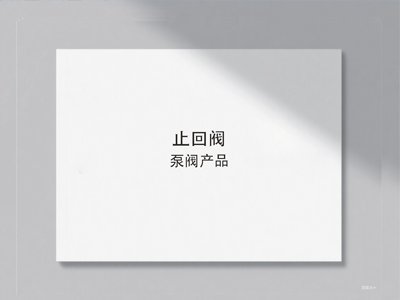 止回阀样册封面图